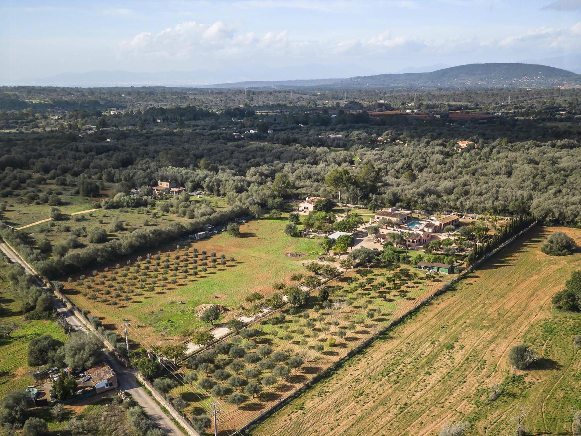 Cas Misser Algaida (Mallorca) Exterior foto